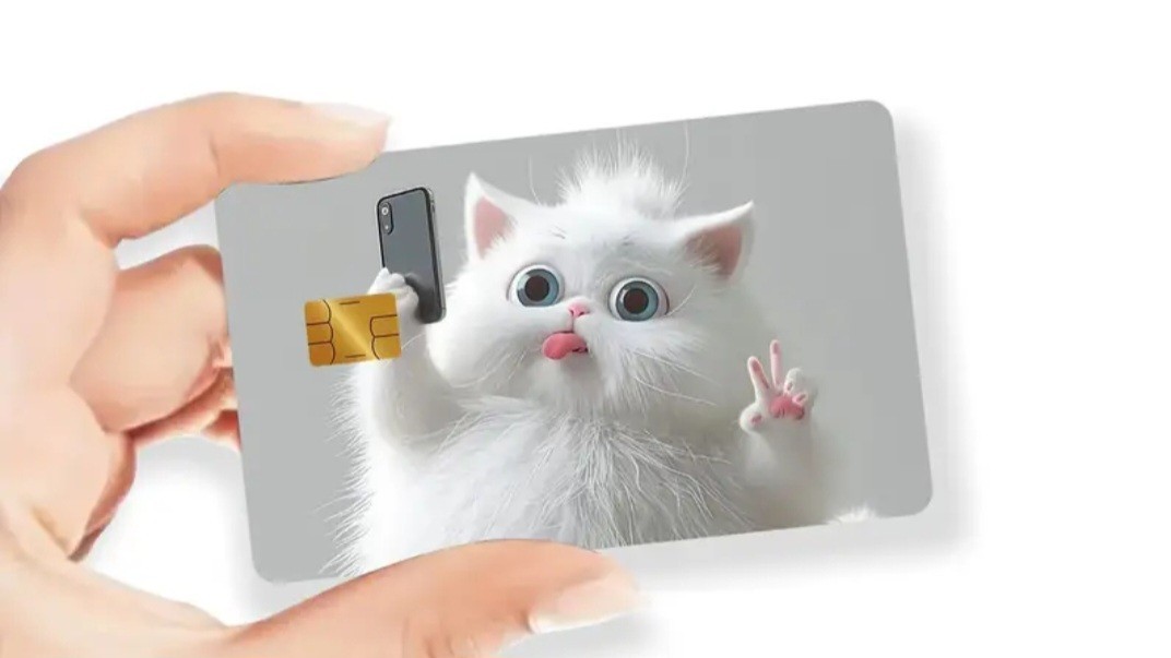 Cat Kitten Chubby Selfie Credit Debit Credit Card Sticker Skin Free Shipping 
