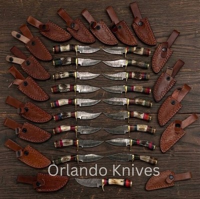 Lot of 20 Custom Handmade Damascus Steel Knives with STAG HORN Handle W Sheath