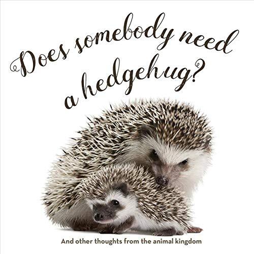 Does Somebody Need a Hedgehug? by Various Artists Hardback Book The Fast Free