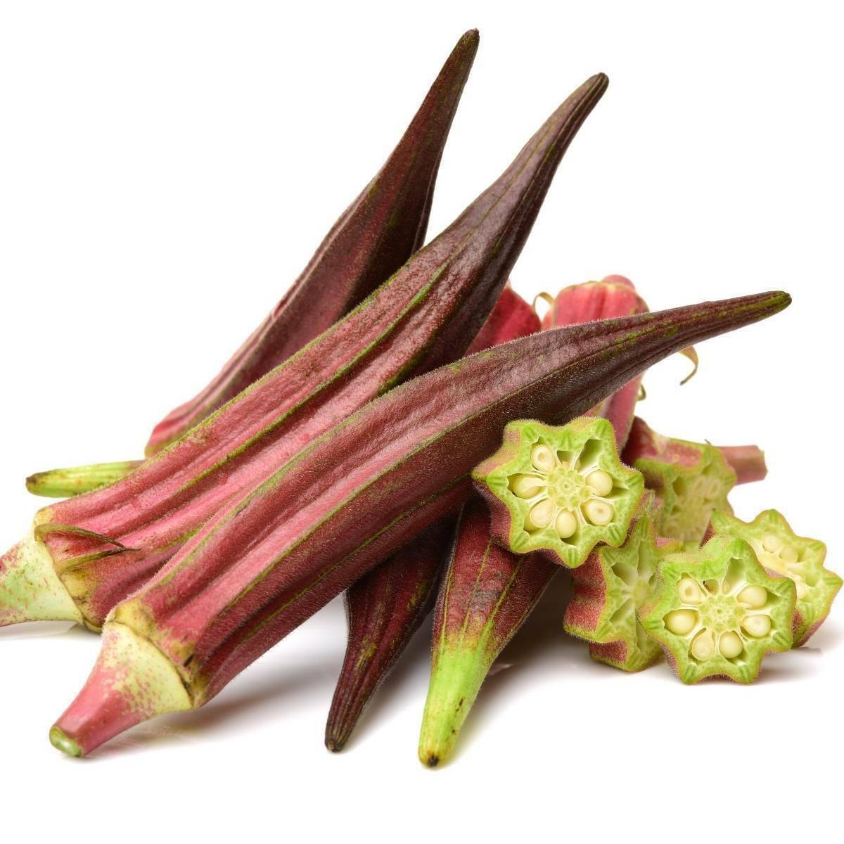 Okra Borgoña Red Abelmoschus esculentus 5+ semillas semillas ¡HERMOSAS y FINAS! He 010