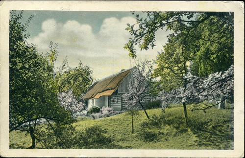 AK BOHMEN UND MAHREN 20.12.1944 BRESLAV WALD