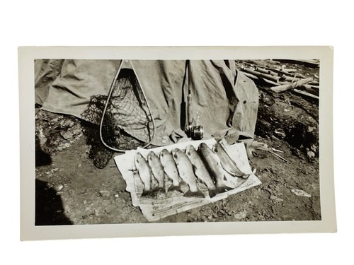 (4) Vintage Smoking Having Coffee Fisherman Camping Catch Fishing Sportsman - Picture 5 of 8