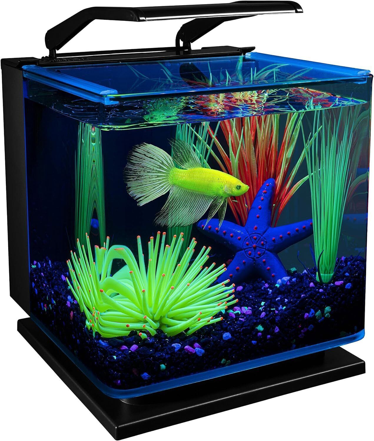 US 3 Gallon Betta Shadowbox Aquarium Kit w/ LED Lighting System Tabletop Display