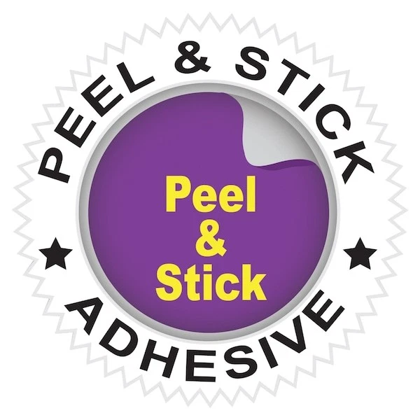 Hojas de borrado en seco C-Line Products 57911, plástico, 11 pulgadas, 8 1/2 pulgadas Foto 4 de 4