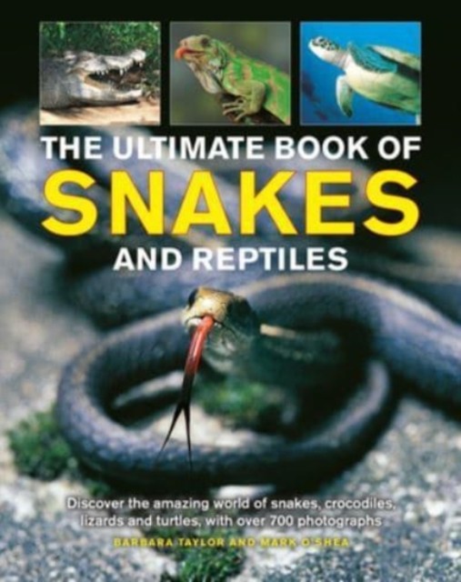 Snakes and Reptiles, Ultimate Book of by Barbara Taylor (Hardback Book)