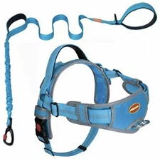 AdventureMore No Pull Choke Free Dog Halter Harness Leash Set - Sz Medium
