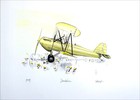 Arons Dandelion Signed Lithograph Biplane, Yellow Flowers, Aviation Art
