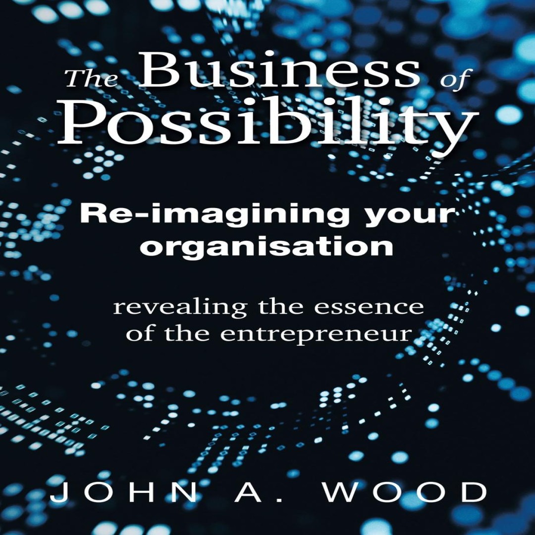 The Business of Possibility Re-Imagining Your Organisation - Reve