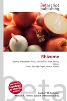 Lambert M. Surhone (U. A.) | Rhizome | Taschenbuch | Englisch (2026)