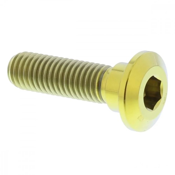 Bremsscheibenschraube Vorne M8X1.25 30Mm Titan Gold FüR Kawasaki Z 400 J 80-83-image