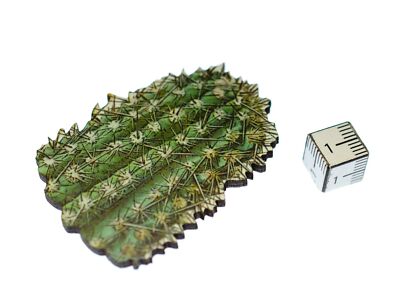 Broche De Du Désert De Fleurs Miniblings Texas Western 1