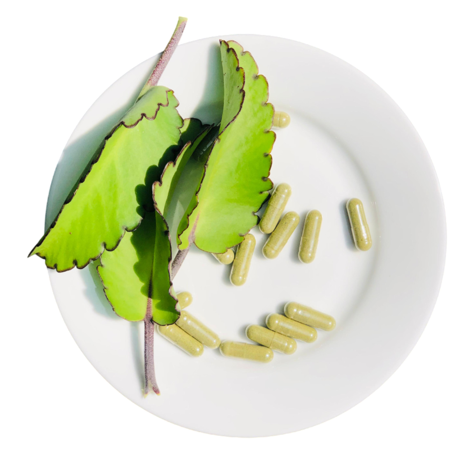 Capsule di foglie di Kalanchoe Pinnata biologiche (600 mg) Bryophyllum pinnatum naturale foto 2