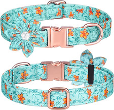 Floral Dog Collar with Detachable Rhinestone Flower, Medium