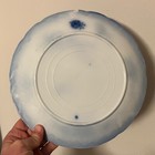Foto 7 di 8