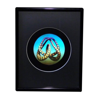 3D Mobius Loop Color Tuned Hologram Picture FRAMED, Collectible Embossed Type