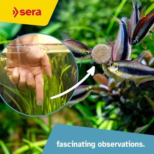 Tableta adhesiva Sera O-Nip Nature alimento para peces, 24 tabletas, 0,5 onzas, talla única Foto 4 de 4