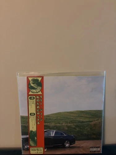 Larry June - Doing It For Me, Vinyl LP (NUMBERED , Picture Disc) Record  - product listing photo