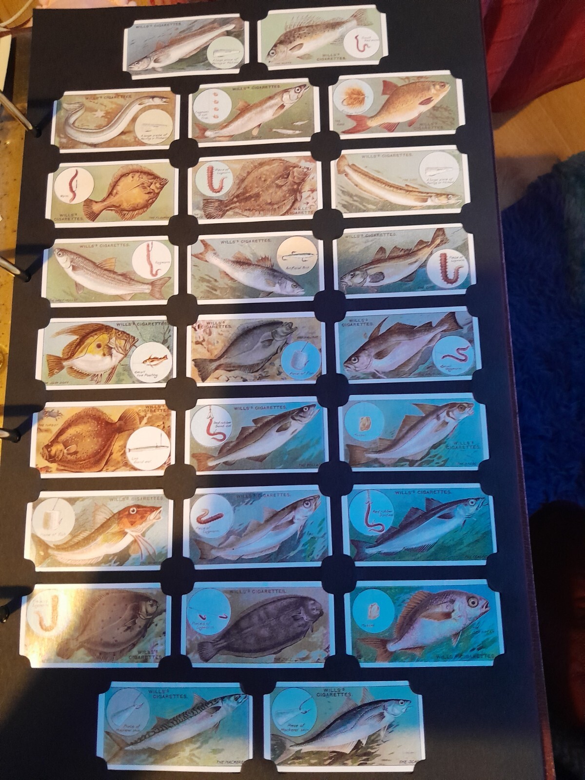 Picture 11 of 24