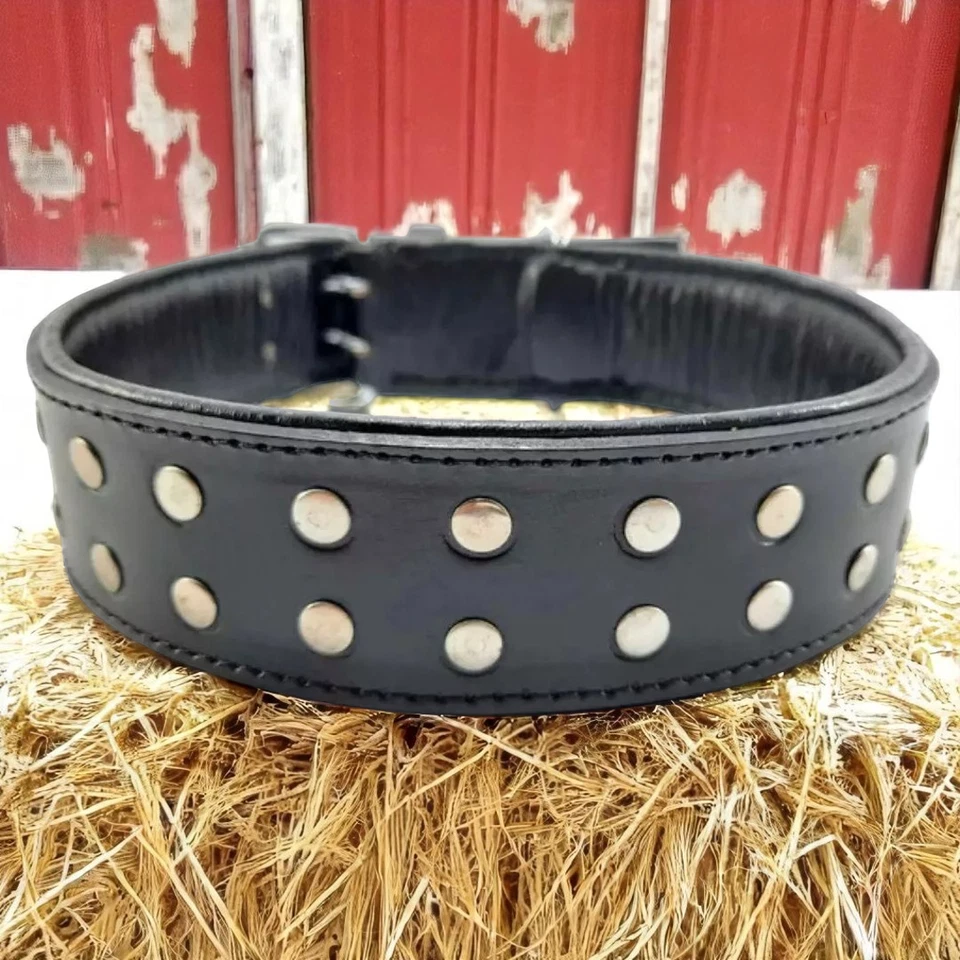 Collar de cuero acolchado con tachuelas K-9 militar resistente mango ajustable Foto 2 de 4
