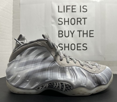 NIKE AIR FOAMPOSITE ONE QS DREAM A WORLD TECH GREY DM0115-001 MEN'S SIZE 9.5