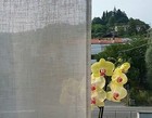 Foto 4 di 11
