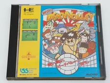 World Beach Volley - NEC PC Engine PCE HuCard JP Japan