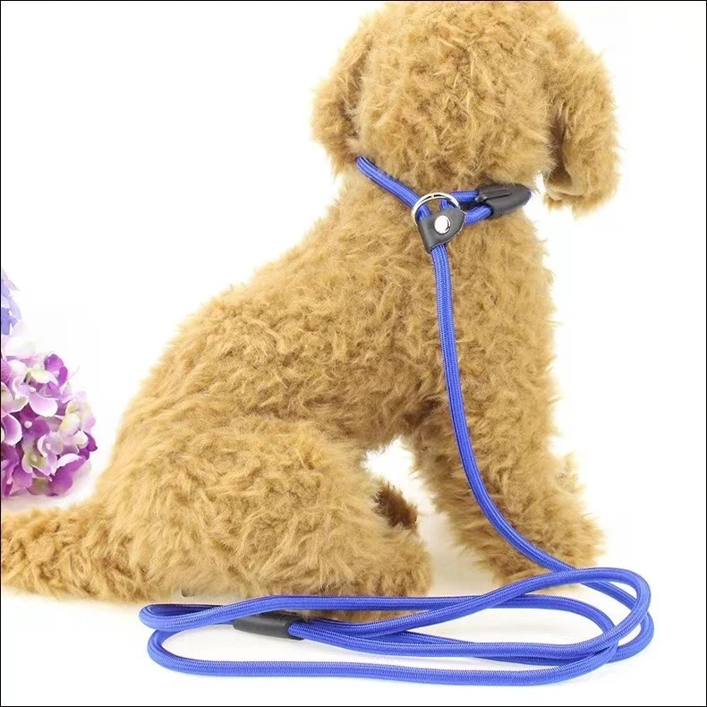 Cesar Millan Dog Puppy Training Correction Leash Slip Lead Pets Nylon Rope New A