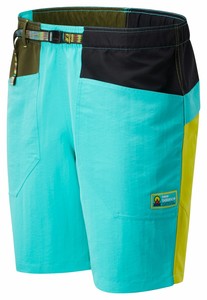 kut from the kloth jean shorts