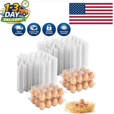 Versatile 100 Pack Clear Egg Packaging - Ideal for Storage & Creative Projects