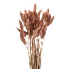 60Stk nat&uuml;rliche Hasenschw&auml;nze,getrocknete Blumen,43cm,Mini-Gras,dunkelbraun/rot