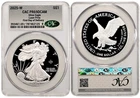 2025 W Silver American Eagle S$1 Laser Privy CAC PR69DCAM First Day of Delivery