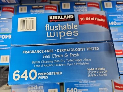 Tencel Baby Kirkland Flushable Wipes Australia At Ricky Payne Blog