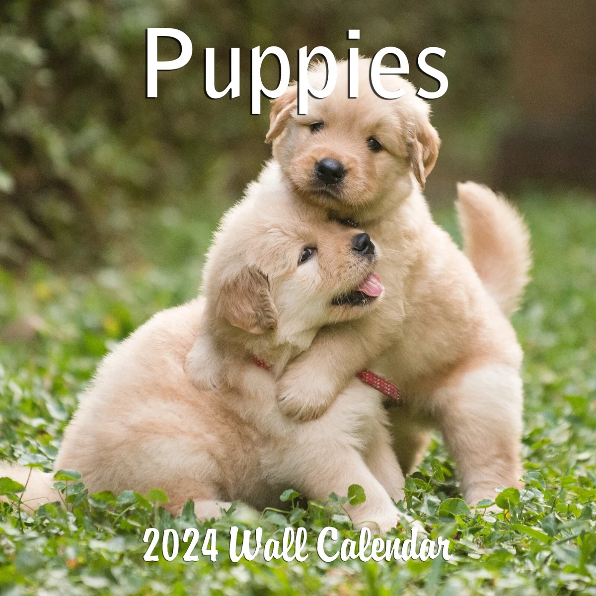 2024 Puppies Dogs Monthly Wall Calendar 2024 | eBay