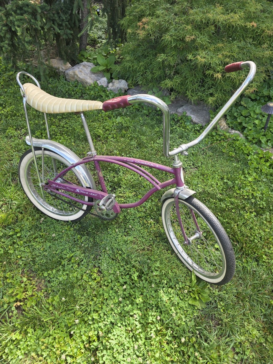1966 Schwinn Sting-ray Deluxe ORIGINAL SURVIVOR Silverglow 2 Speed