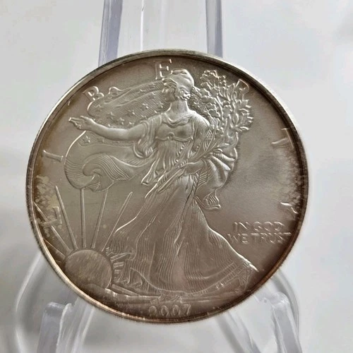 2007 Walking Liberty American Eagle 1 Oz. .999 Fine Silver One Dollar Coin Toned