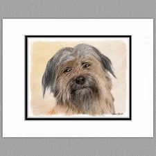 Pyrenean Shepherd Dog Original Art Print 8x10 Matted to 11x14