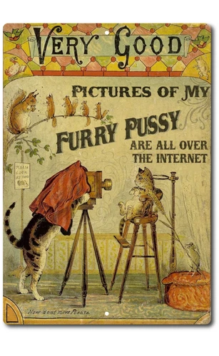 US Vintage Retro Tin Sign door Wall Hairy Pussy Funny Cat Metal Bar  Pub Poster