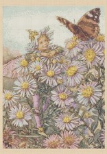 Michaelmas Daisy Fairy Counted Cross Stitch Chart No. 8-428/12 