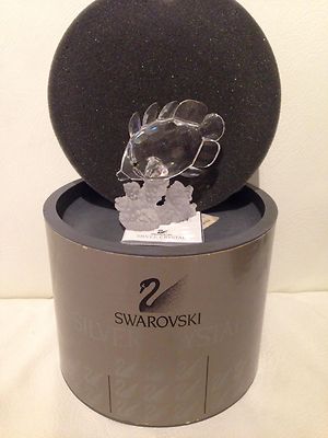 Swarovski - Fisch Schmetterling Swarovski - Schmetterlingsfisch Swarovski Silber Kristall