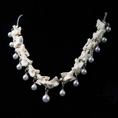 Necklace with real raven's skull and real fox vertebrae bone, jewelry, #8