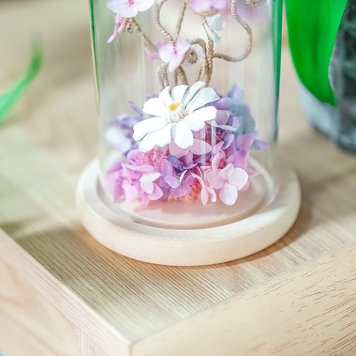 High Borosilicate Glass Cloche Dome with Solid Wood Base - Gift for Plant Lovers - Picture 9 of 11