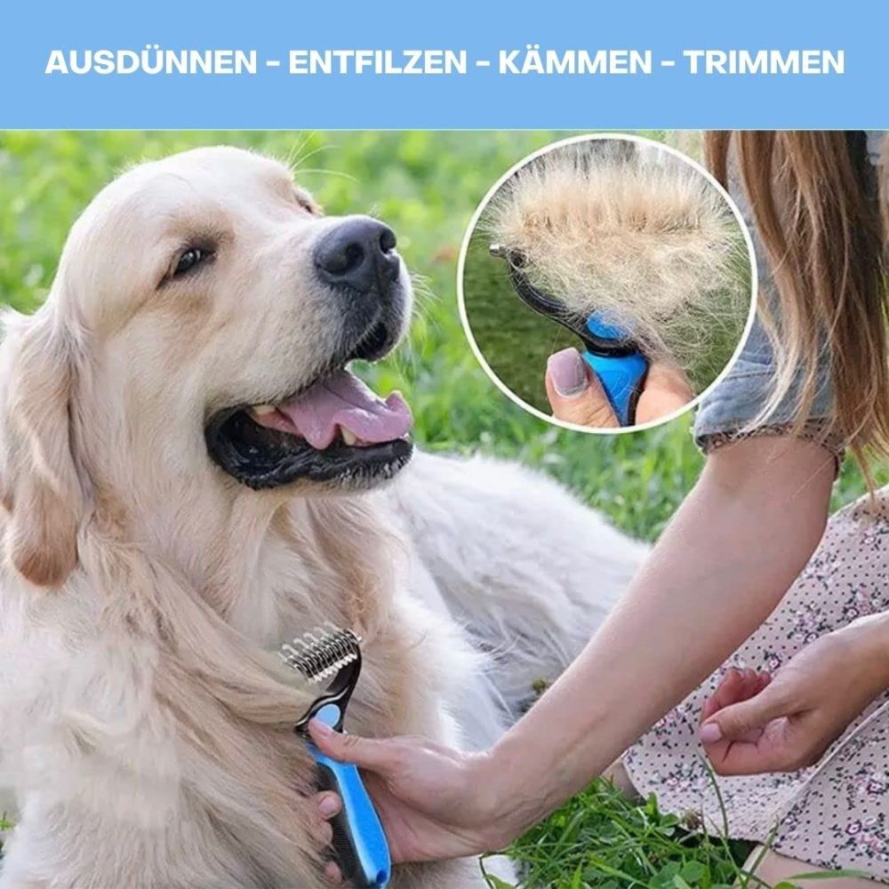 Bild 6 von 17