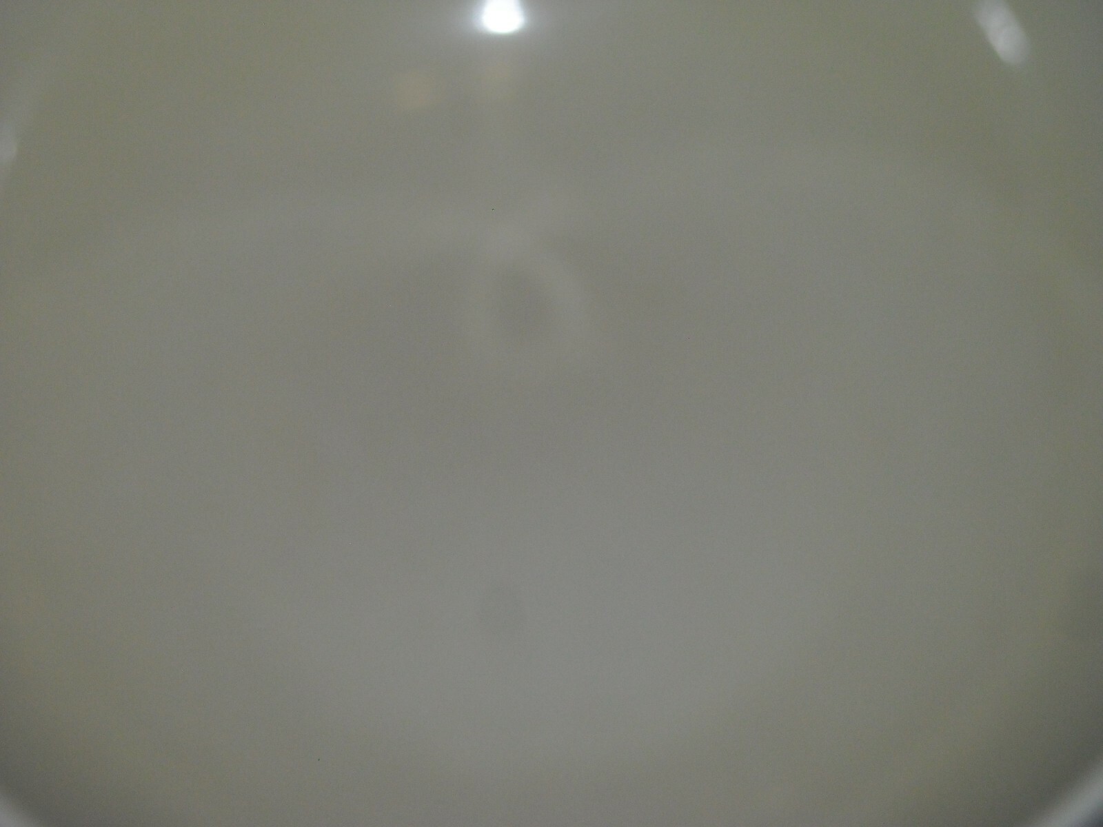 Picture 4 of 4