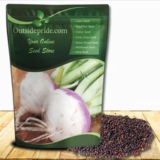 50 LBS Purple Top Turnip Seeds - Bulk Brassica Seed For Food Plots, Cover Crops