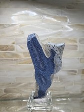Blue Coral Reef Specimen Fossilized 4199