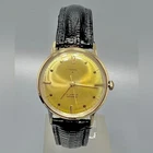 Timex  Vintage 21Jewel Mens Mechanical Gold Plated Watch