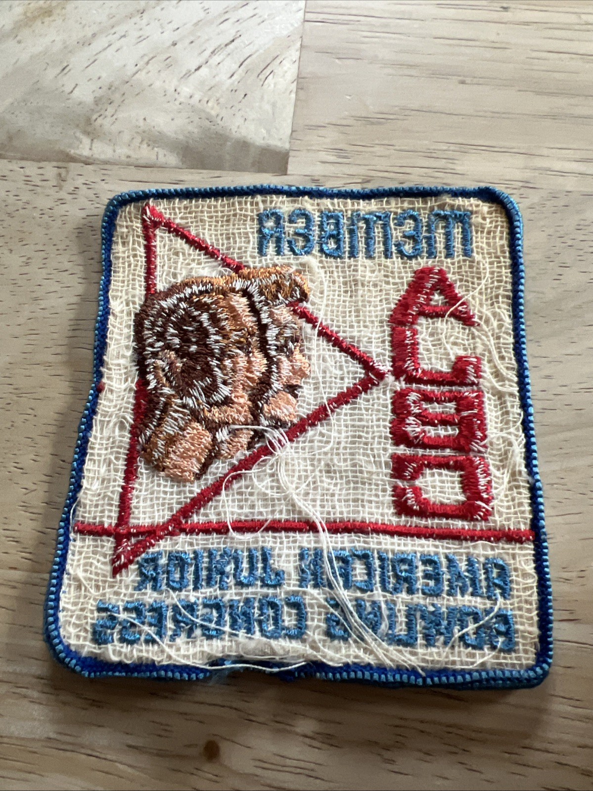 Bild 5 von 5