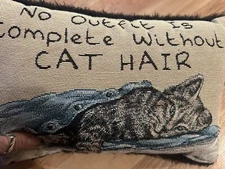 "No Outfit Is Complete Without Cat Hair" Small 11" x 8" Cat Lovers Gift Pillow