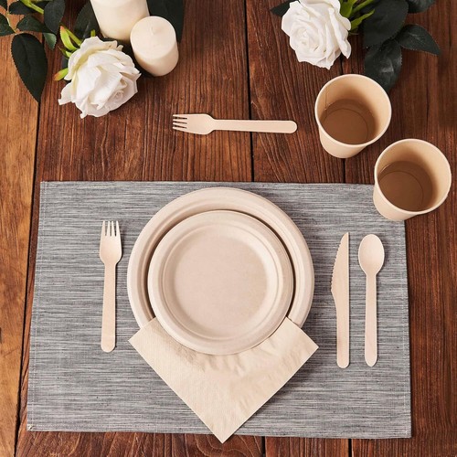 350Pcs Biodegradable Dinnerware Set - Disposable Dinner Plates, Wooden Cutlery - Picture 2 of 6