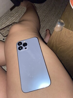 iphone 13 pro max unlocked